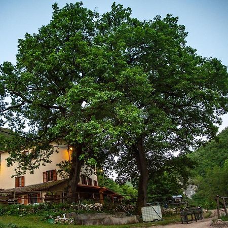 Agriturismo Le Due Querce Cerreto di Spoleto Kültér fotó