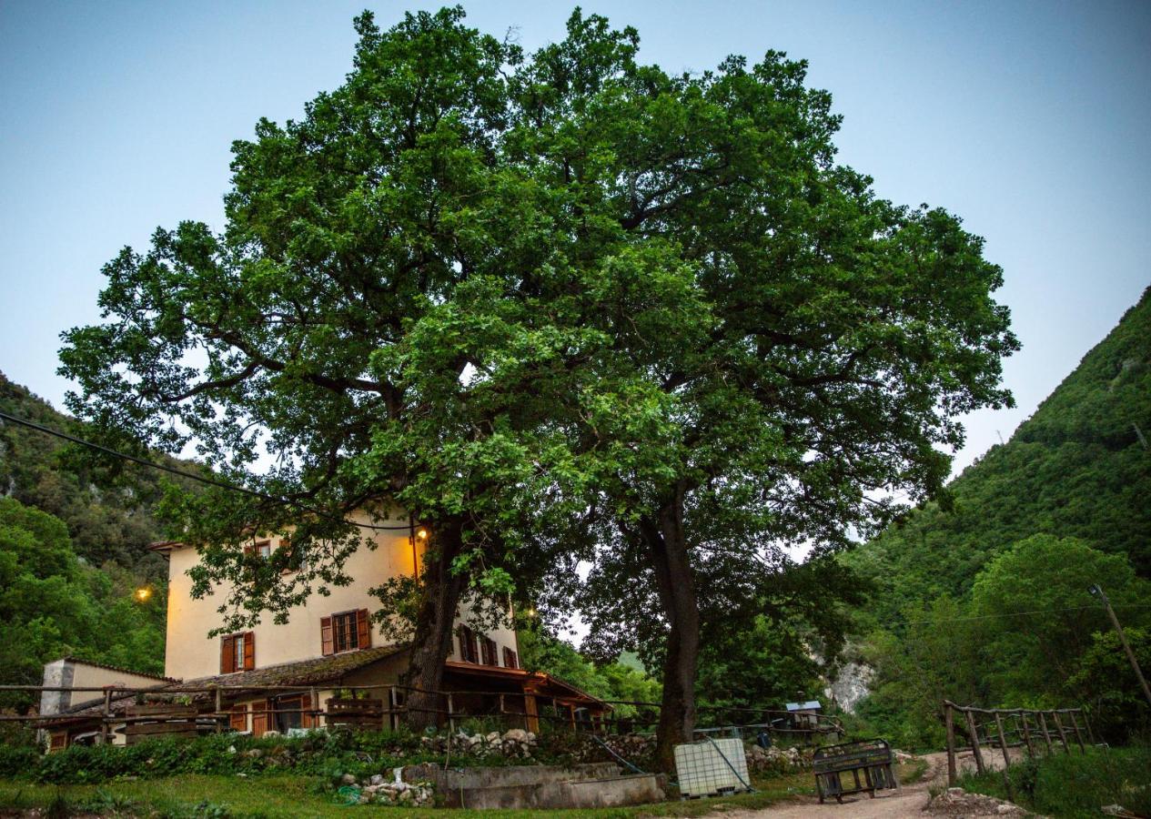 Agriturismo Le Due Querce Cerreto di Spoleto Kültér fotó